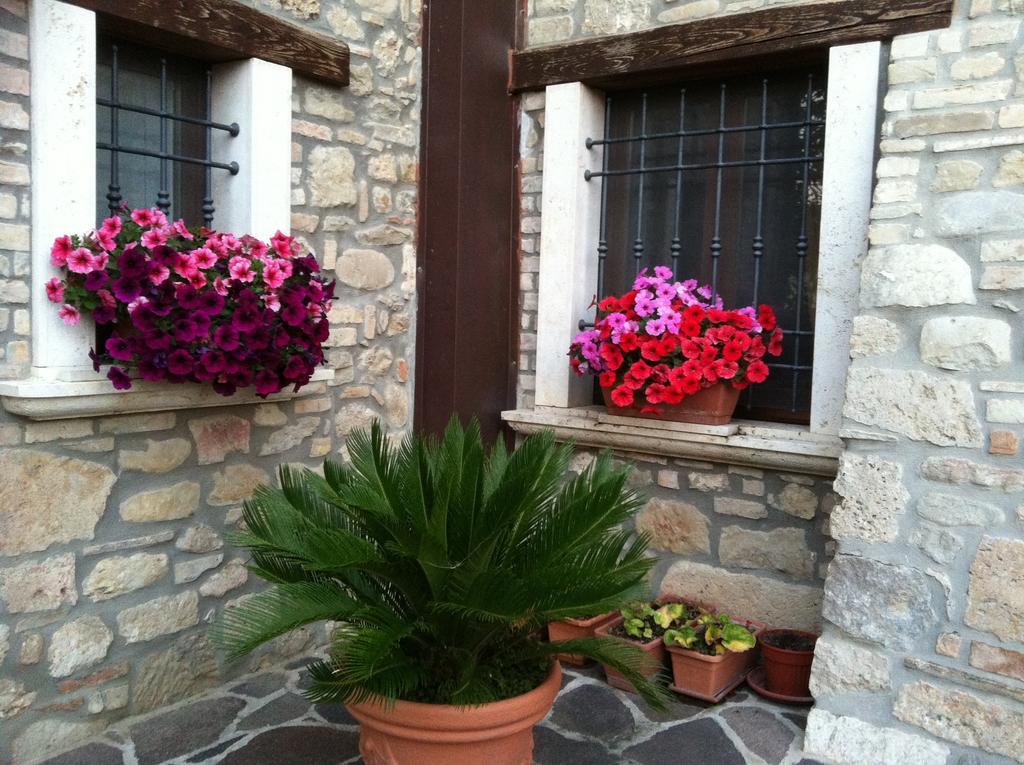 Agriturismo La Cantina アスコリ・ピチェーノ エクステリア 写真